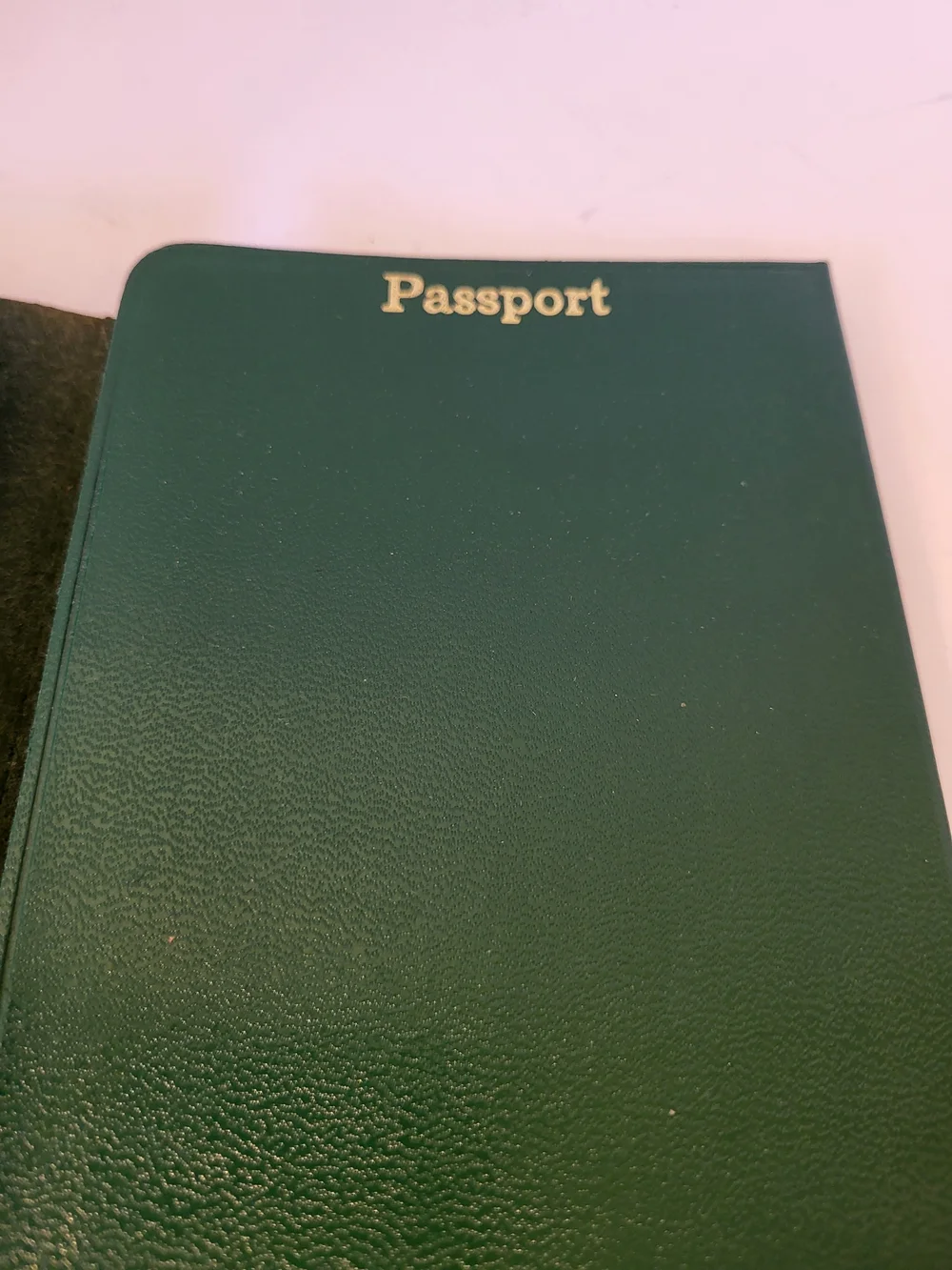 1960s Leather Travel Document Holder Fitzpatrick Travel Services Hollywood, CA